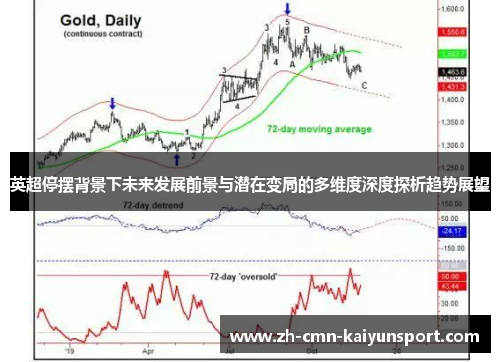 英超停摆背景下未来发展前景与潜在变局的多维度深度探析趋势展望