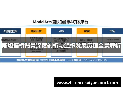 斯坦福桥背景深度剖析与组织发展历程全景解析