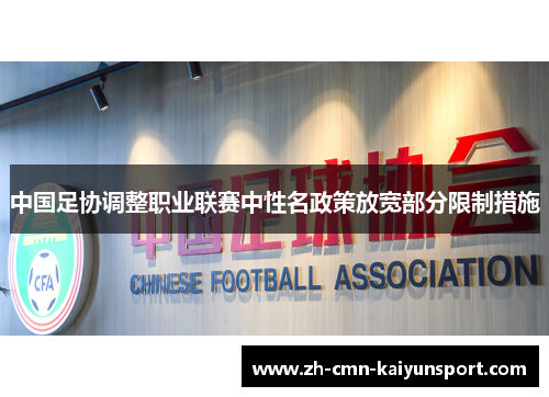 中国足协调整职业联赛中性名政策放宽部分限制措施